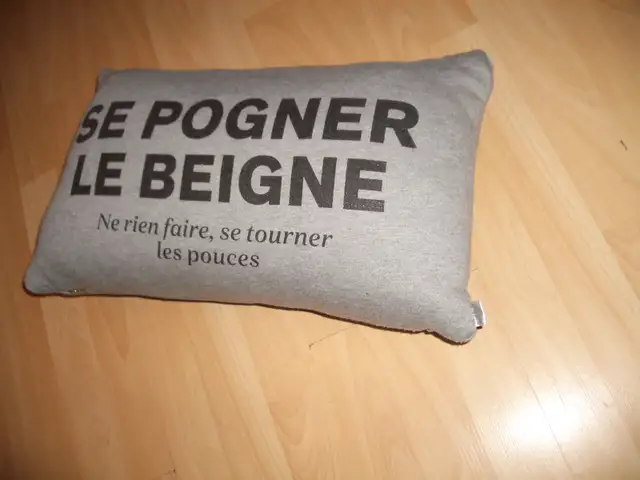 cushion  Pillow for chair or sofa  oreiller coussin 12" x 20" in Home Décor & Accents in City of Montréal - Image 3