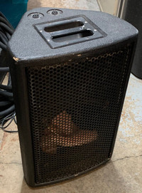 12 in. Speaker Cabinets - E. V. style - gently used - empty