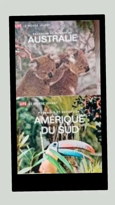  Lot livres éducatifs enfants – parfait état – pas cher , View more