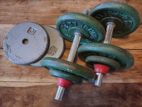 York Dumbbells: Plates and Bars