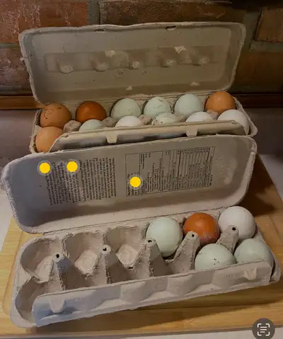 Fresh farm eggs available 