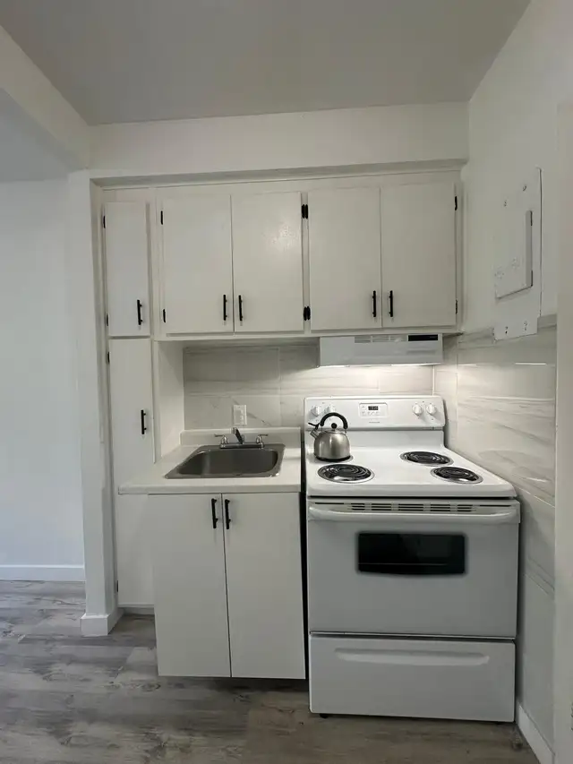 Renovated studio near Joliette Metro63417637614211124