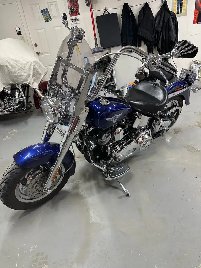 2006 Harley Fatboy in Street, Cruisers & Choppers in Kamloops - Image 6