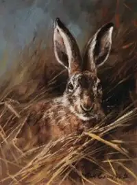 Head of a Hare by Mick Cawston
