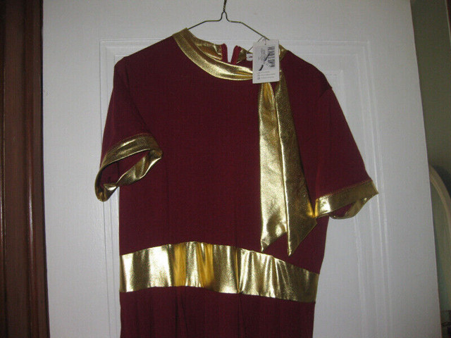 Red Wine / Gold Contrast Dress in Women's - Dresses & Skirts in Windsor Region - Image 2