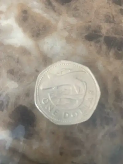 This is a collectible Barbados one dollar coin, that is in used condition. It is a unique addition t...