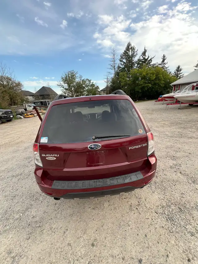 Subaru Forester 595970973374894082
