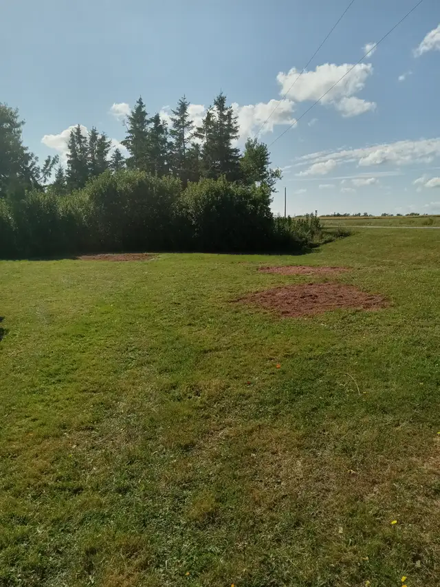 R U Stumped PEI - Stump removal in Lawn, Tree Maintenance & Eavestrough in Summerside - Image 6