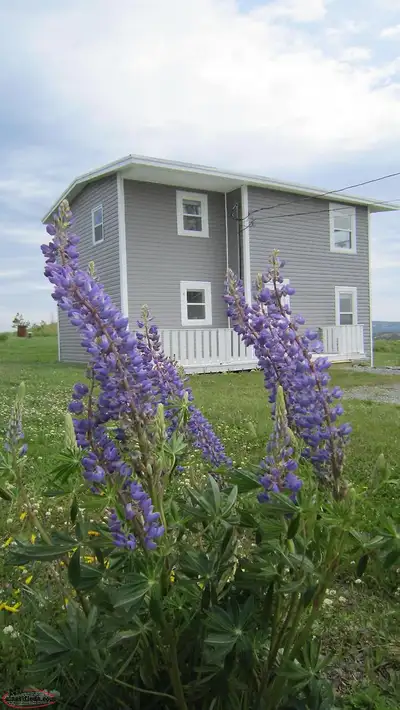 Available September 1, 2025, a fully furnished and equipped two-story detached saltbox house located...