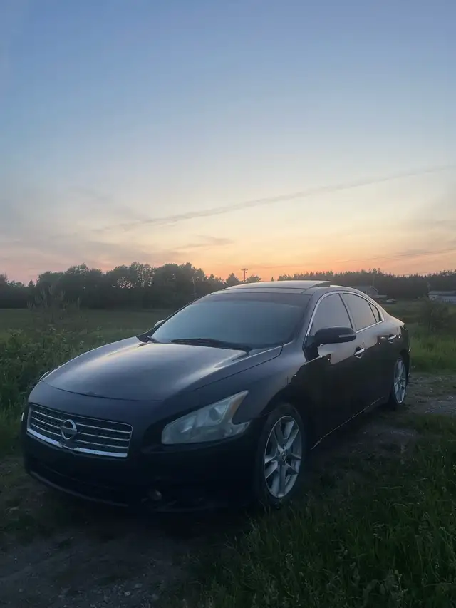 2011 Nissan Maxima in Cars & Trucks in Fredericton - Image 2