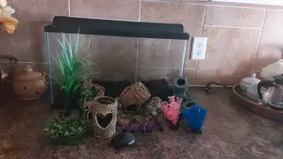 10 gallon fish tank, View more