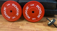 Rogue Training Plates 5lbs each + ab roller 