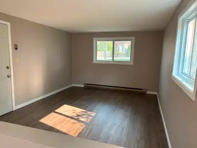 One Bedroom Apartment - Close To Downtown and Hospital