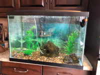 Fish tank with all what you need