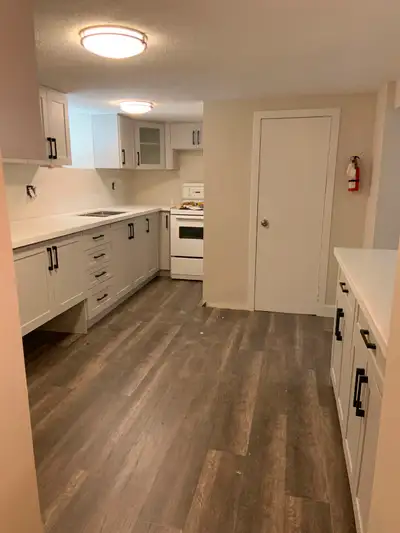 One Bedroom Recently Renovated Kirkendall Basement Apartment