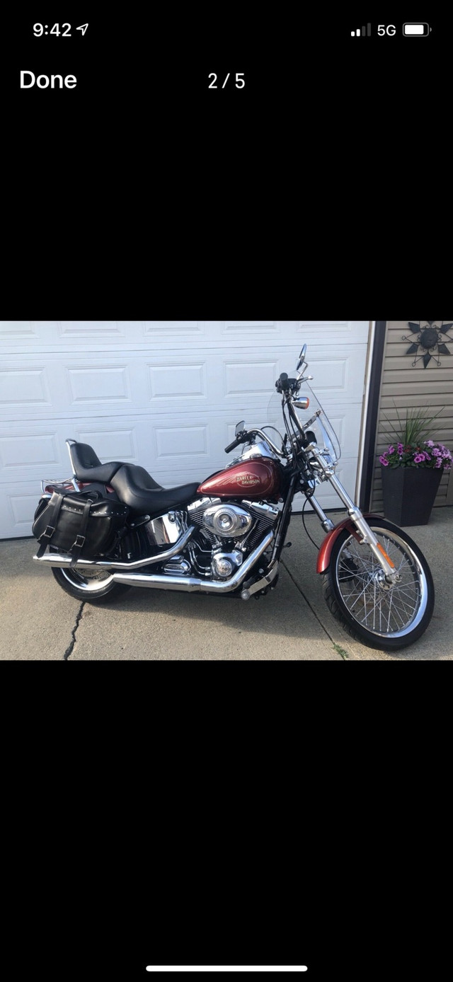2009 Harley Davidson Softail Custom  in Street, Cruisers & Choppers in Strathcona County
