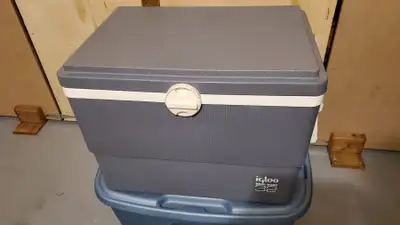 Igloo Electric Cooler/Warmer, View more