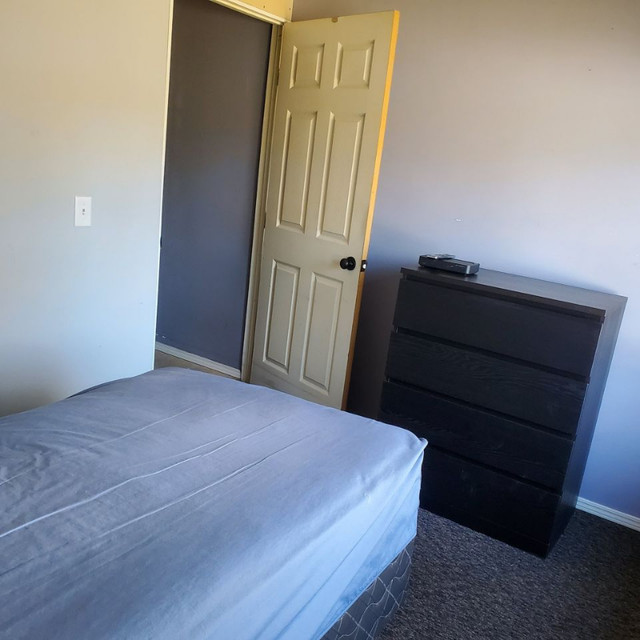 Room for rent in Room Rentals & Roommates in Calgary - Image 2