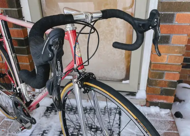 Pinarello Treviso - Campagnolo Chorus 11 - Neo-Retro in Road in Barrie - Image 4
