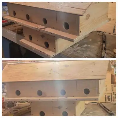 HEY Y'ALL! IT'S NEARLY PURPLE MARTIN TIME!!, View more