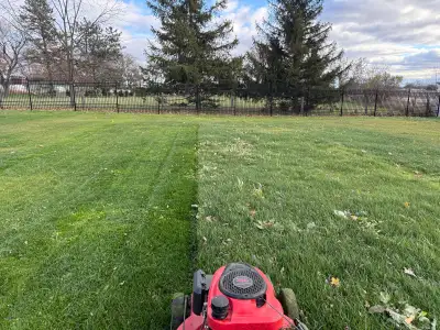 grass cutting and lawn care, View more