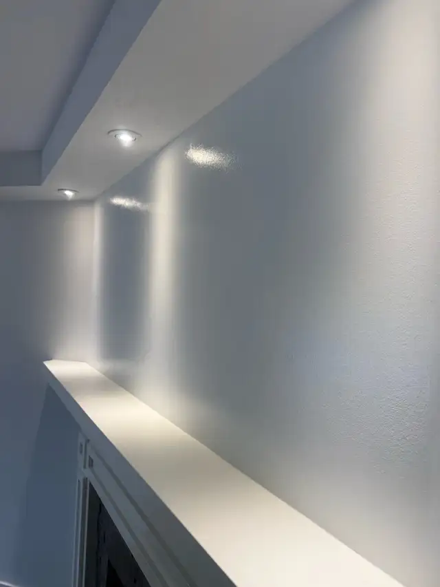 painting services 599597893739489281