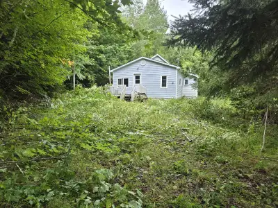 House for sale 174 Mcnamee rd -Almost a full acre -existing Well and concrete septic -All windows ar...