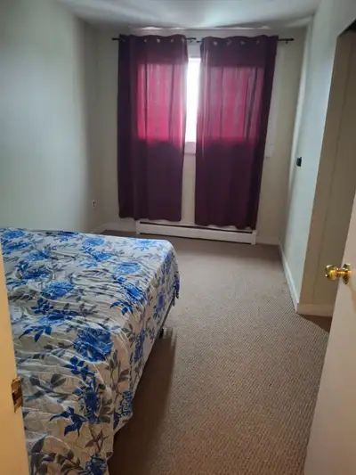 1 furnished bedroom available in 2 bedroom apartment .Apartment is fully furnished. Rent will be 800...