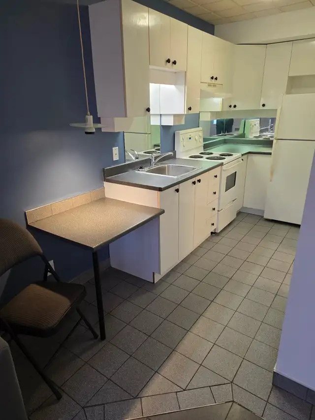 Loft 1 1/2, meublé, rénové et moderne