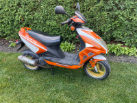 Scooter 2008