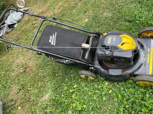 lawnmower 63295983462017121