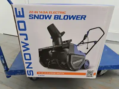 Snow Joe SJ626E Electric Walk-Behind Single-Stage Snow Blower, View more