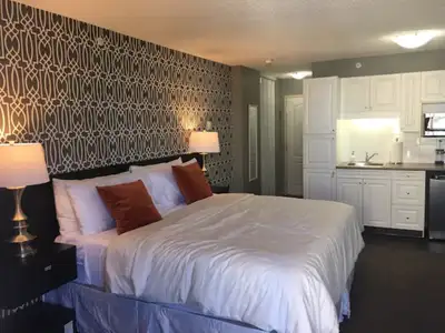 PET-FRIENDLY Bachelor Downtown available Aug 1