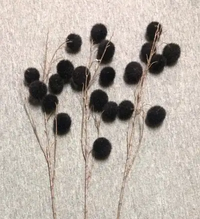 Ornamental Decor, View more