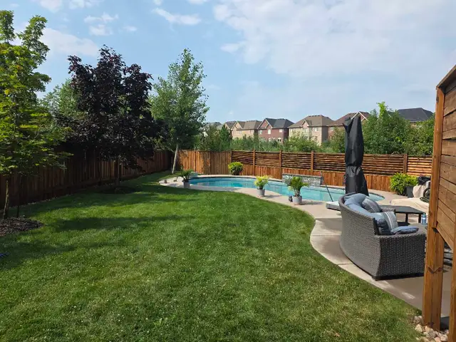 Deck and Fence stain / refinish
