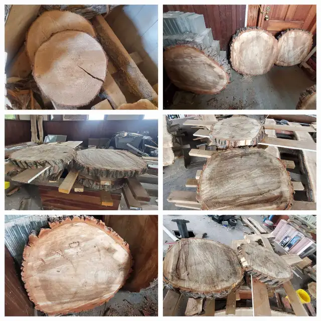 Raw Wood Slabs, Cookies, & Craft Pieces! in Other in Regina - Image 3