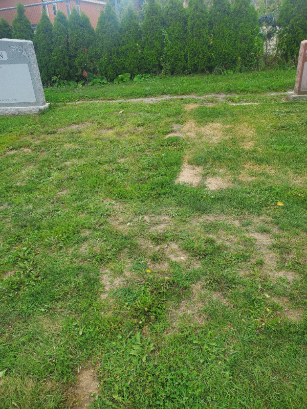 ST. JOHN'S DIXIE CEMETERY BURIAL PLOT FOR SALE in Other in Mississauga / Peel Region - Image 2