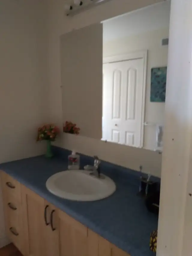 Private Cottage on beautfull Bobs Lake in Ontario in Canada - Image 12