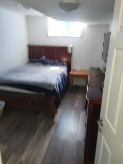 shared basement
