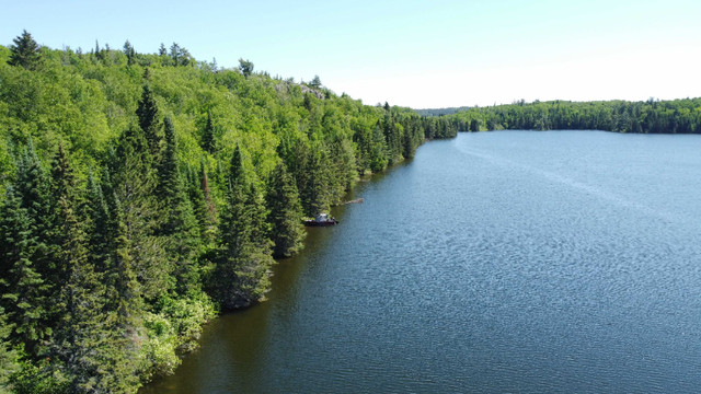 Parcel D.181 - Approx 1 mile of shoreline and 45 Acres of land! in Land for Sale in Kenora - Image 3