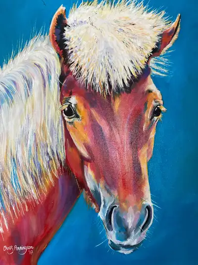 Icelandic horses, View more