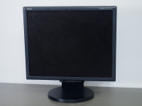19" NEC LCD monitor