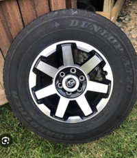 Rims and tires only