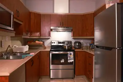 Magnifique appartement à louer