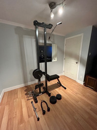  Lat pulldown, Row and Back exercise machine