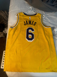 LeBron James 6 Lakers Jersey