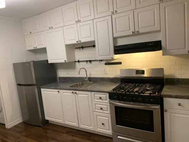 Large 1 Bedroom in Little Italy