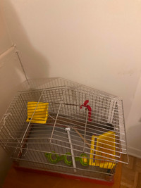 Cage pour petits oiseaux