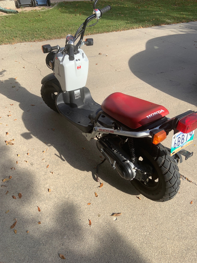 Honda Ruckus 2017 Scooters & Pocket Bikes Winnipeg Kijiji