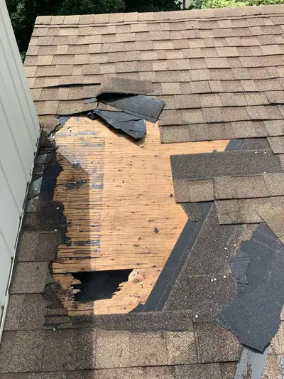 Shingle Roofing- Roof repair & New roof , View more